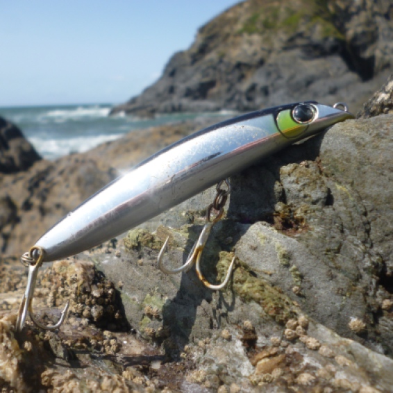 Bass Lures – Is there an optimum size and shape? – South Devon Bass Guide  Ltd