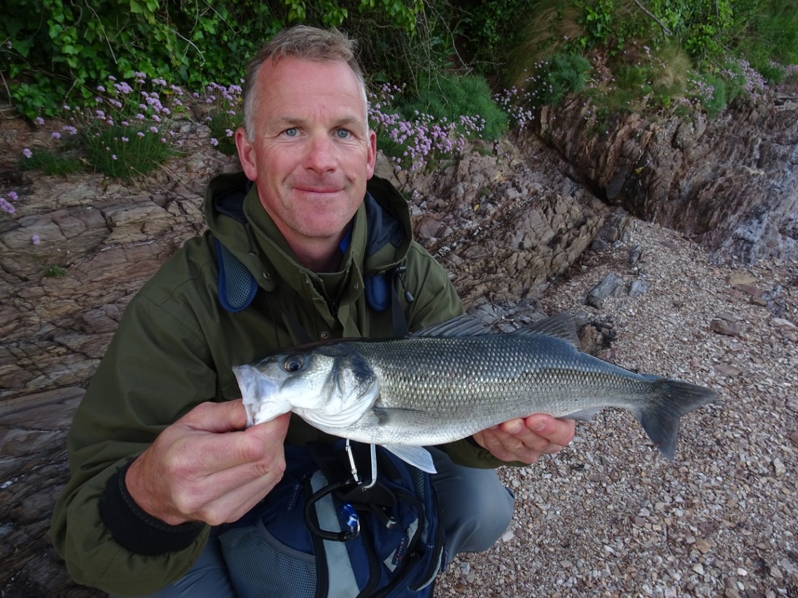 Estuary bass on lures