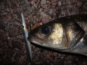 Needlfish bass lure fishing