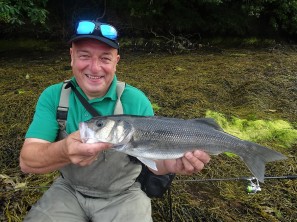 Estuary lure caught bass