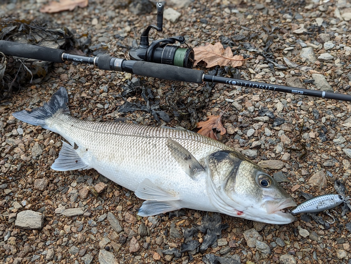 10 Items of Equipment I'd Recommend from 2022 – South Devon Bass Guide Ltd