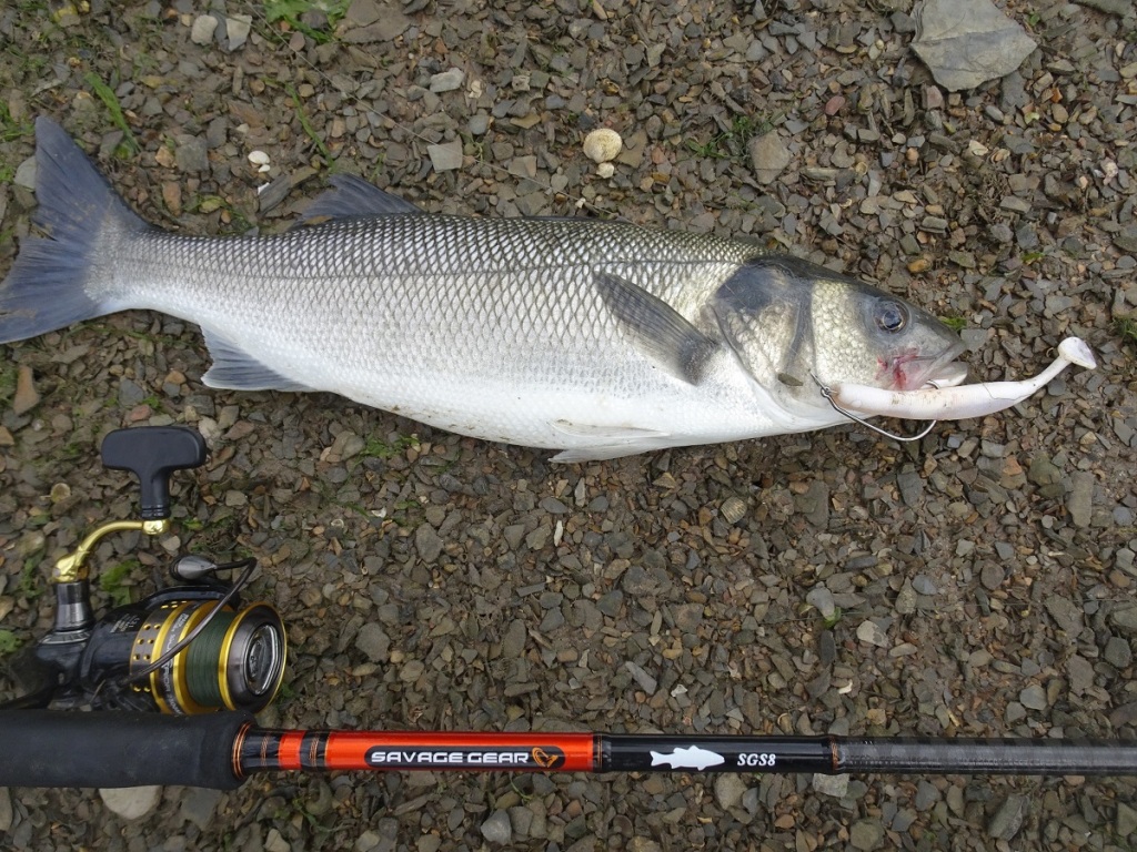 What I 'personally' look for in a bass lure rod… – South Devon