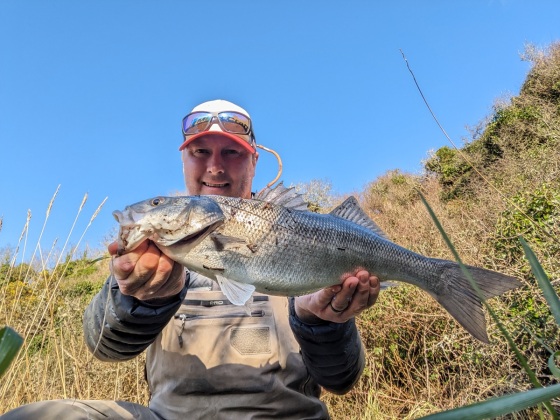 Creature Baits – South Devon Bass Guide