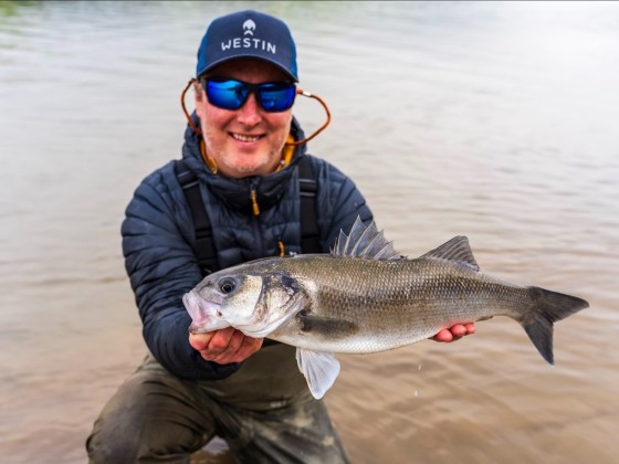 Bass Lure Fishing – South Devon Bass Guide